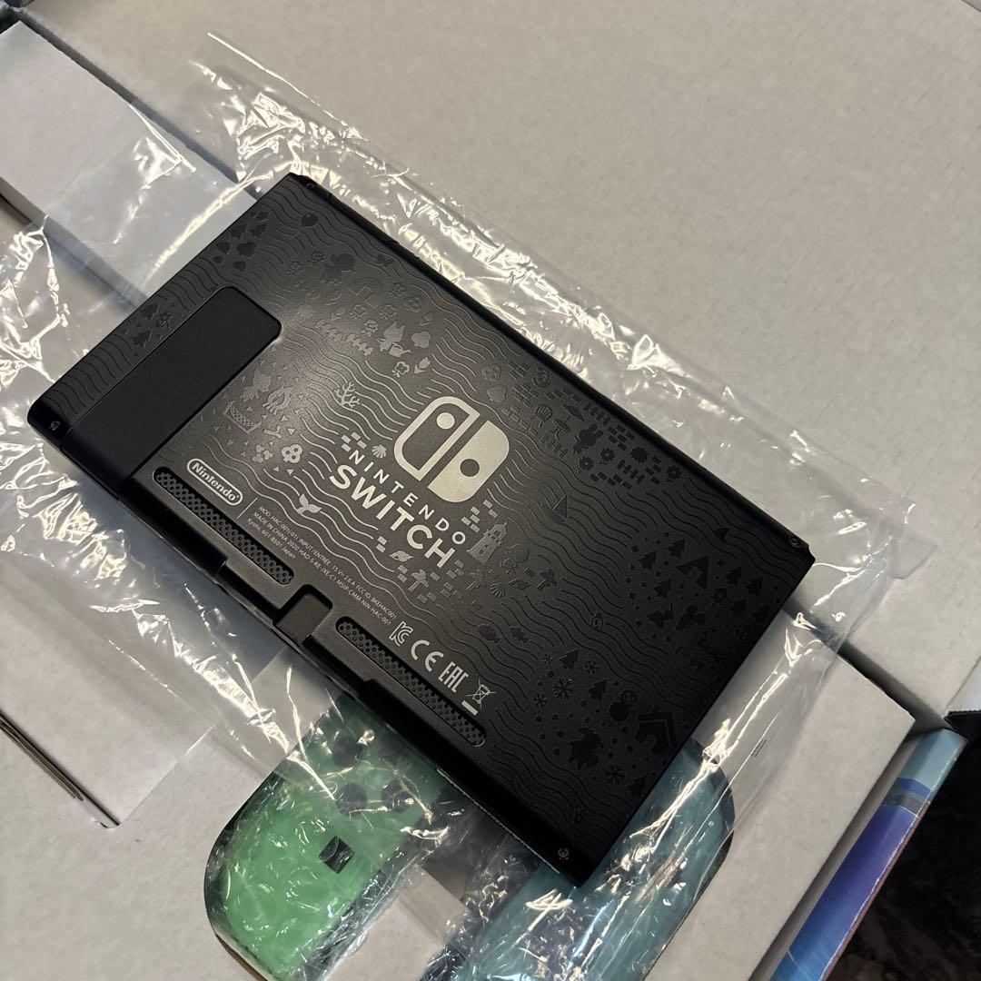 Nintendo Switch どうぶつの森セット　別売コントローラー