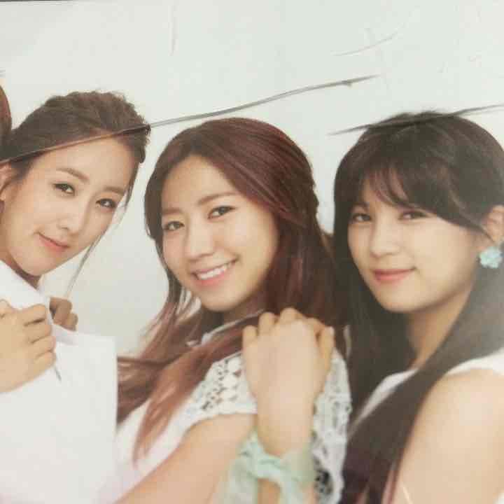 K-POP・アジア Apink LUV CD