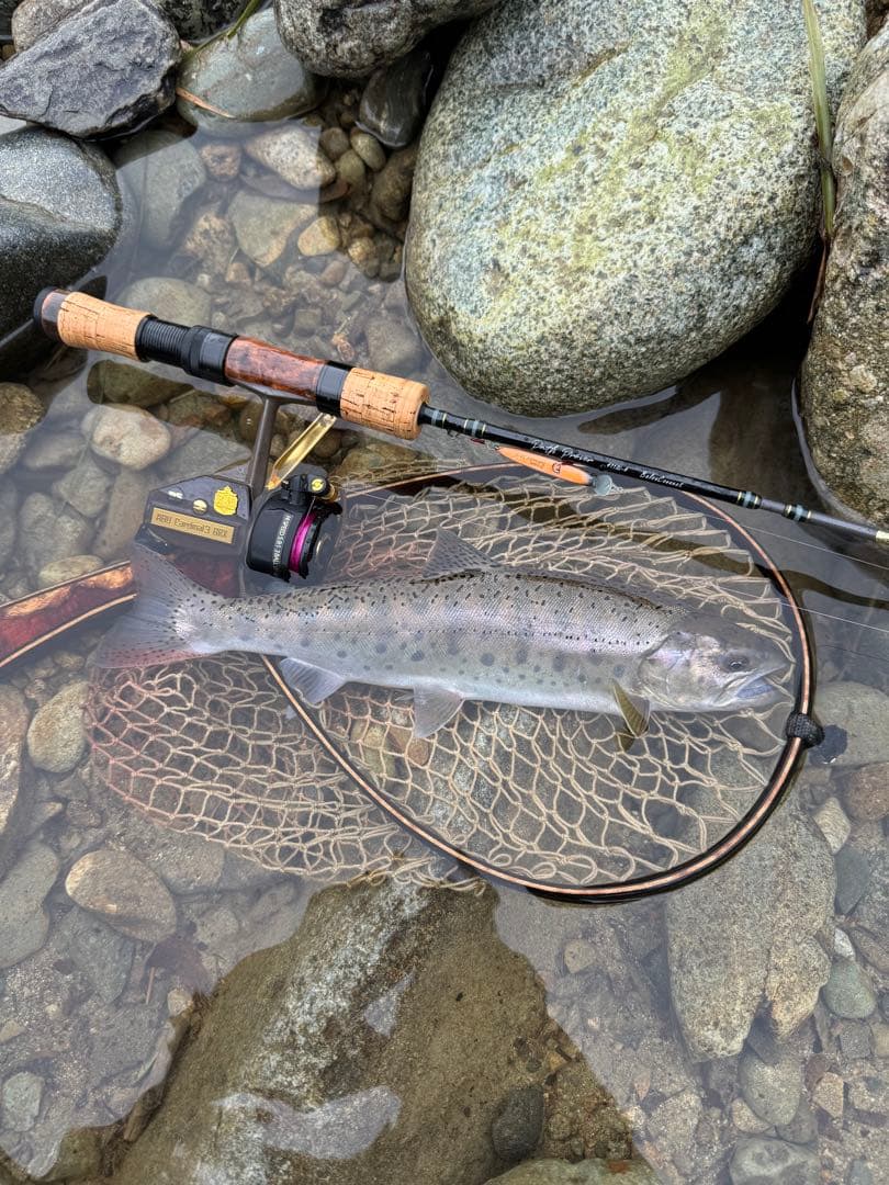 ティムコPath Prover PRV411SL-4 Balsa Connect