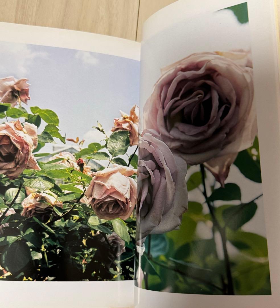 初版！石内都サイン署名】薔薇のパルファムLe Parfum de la Rose