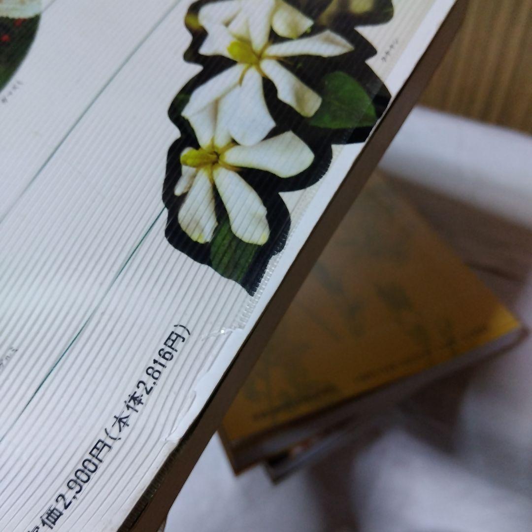 草木染染料植物図鑑　正・続・続続　3冊セット／山崎青樹著／美術出版社