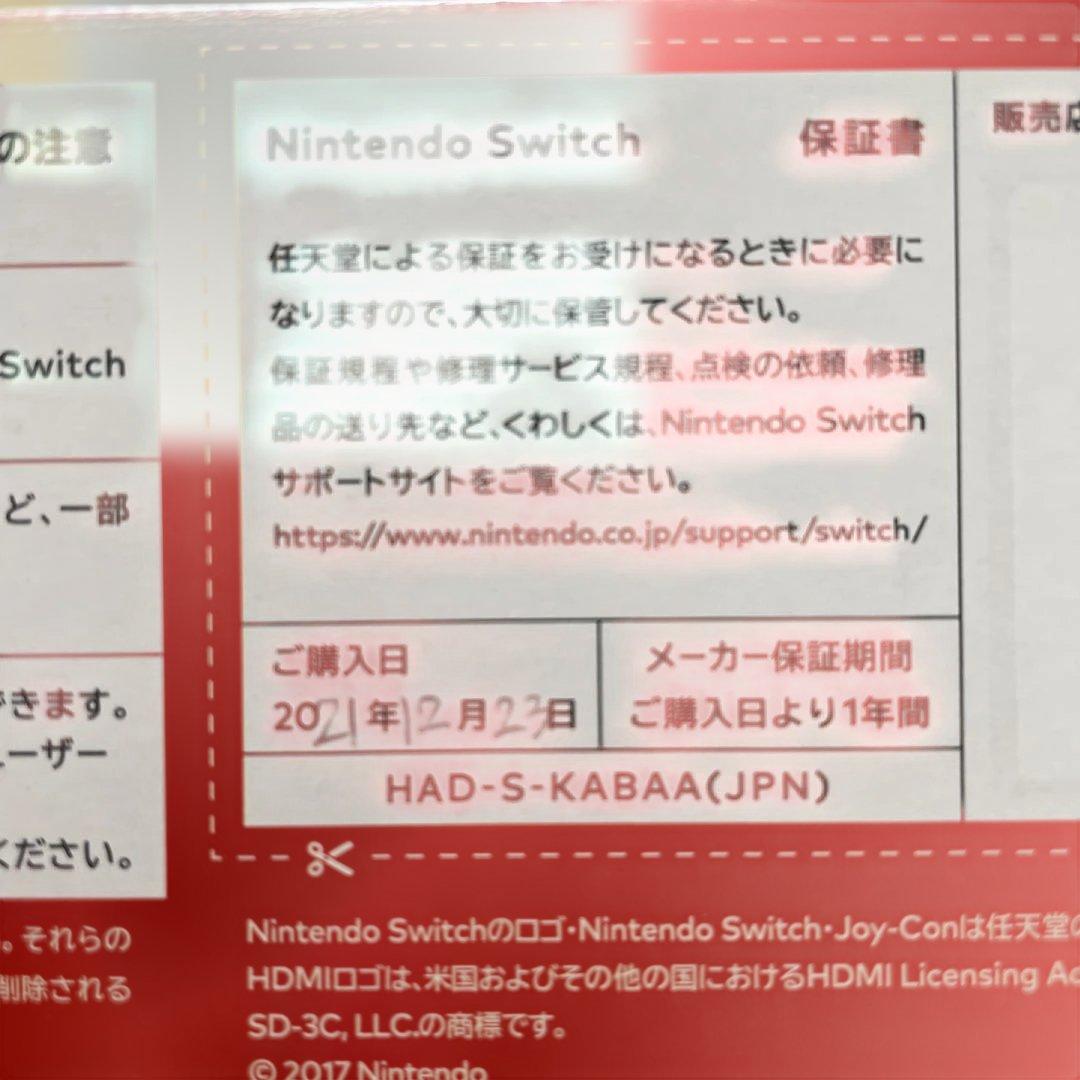 Nintendo Switch 本体一式➕Joy-Con青