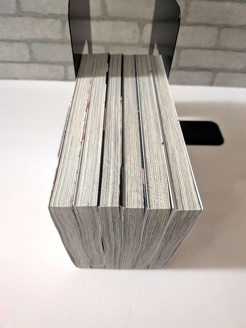 不揃いの連理 全10+1巻　+ 今日はカノジョがいないから 全6巻　17冊セット