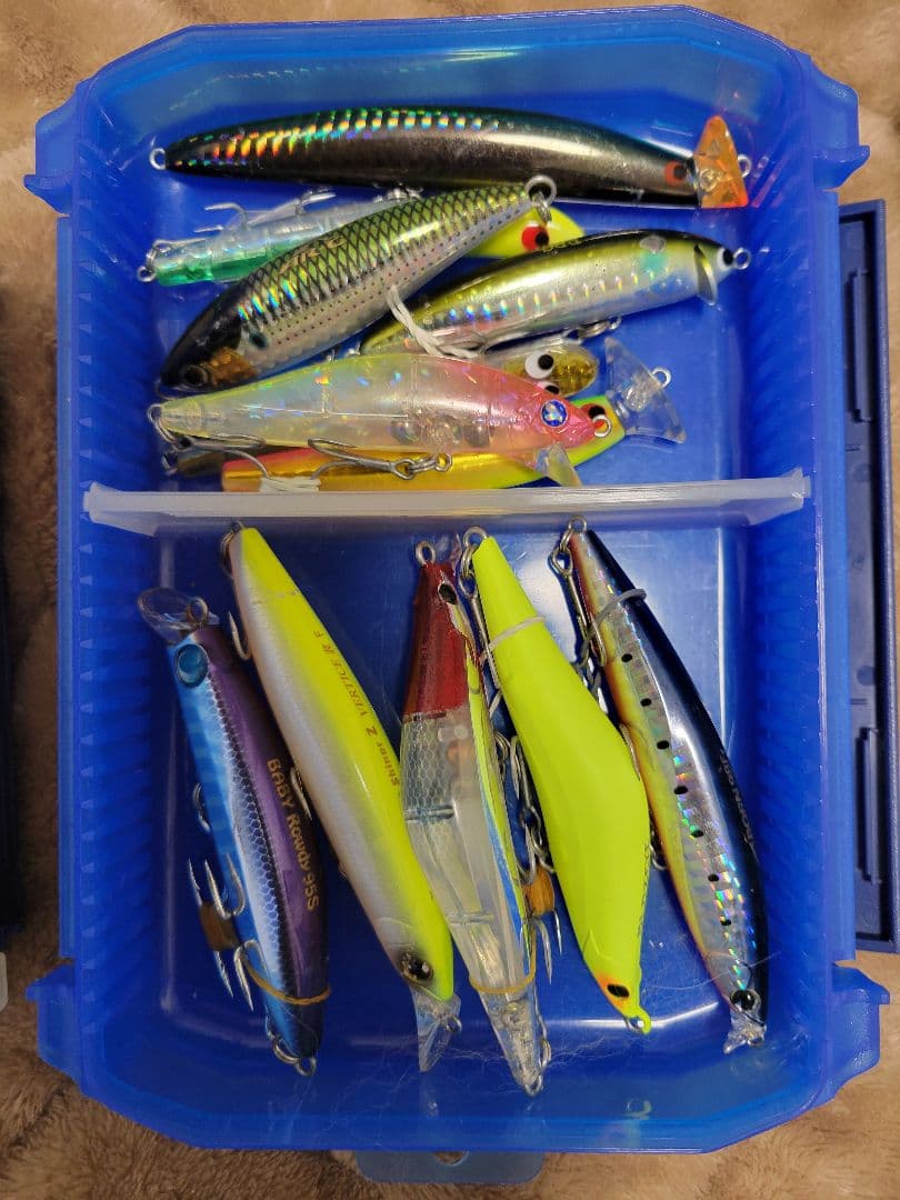 COREMAN シーバス ミノー・プラグルアー 引退セット