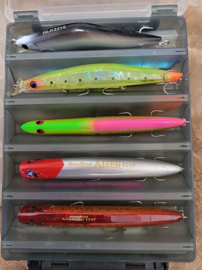 COREMAN シーバス ミノー・プラグルアー 引退セット