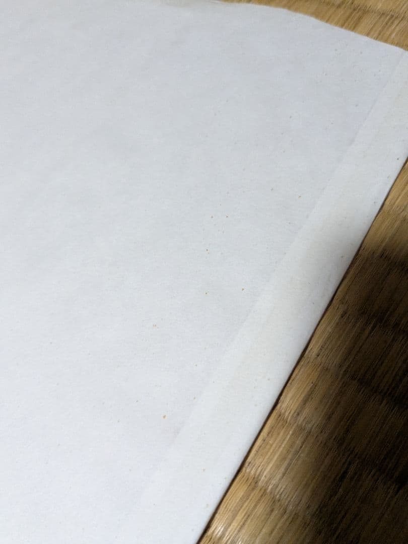 Snoop Dogg Doggystyle レコード