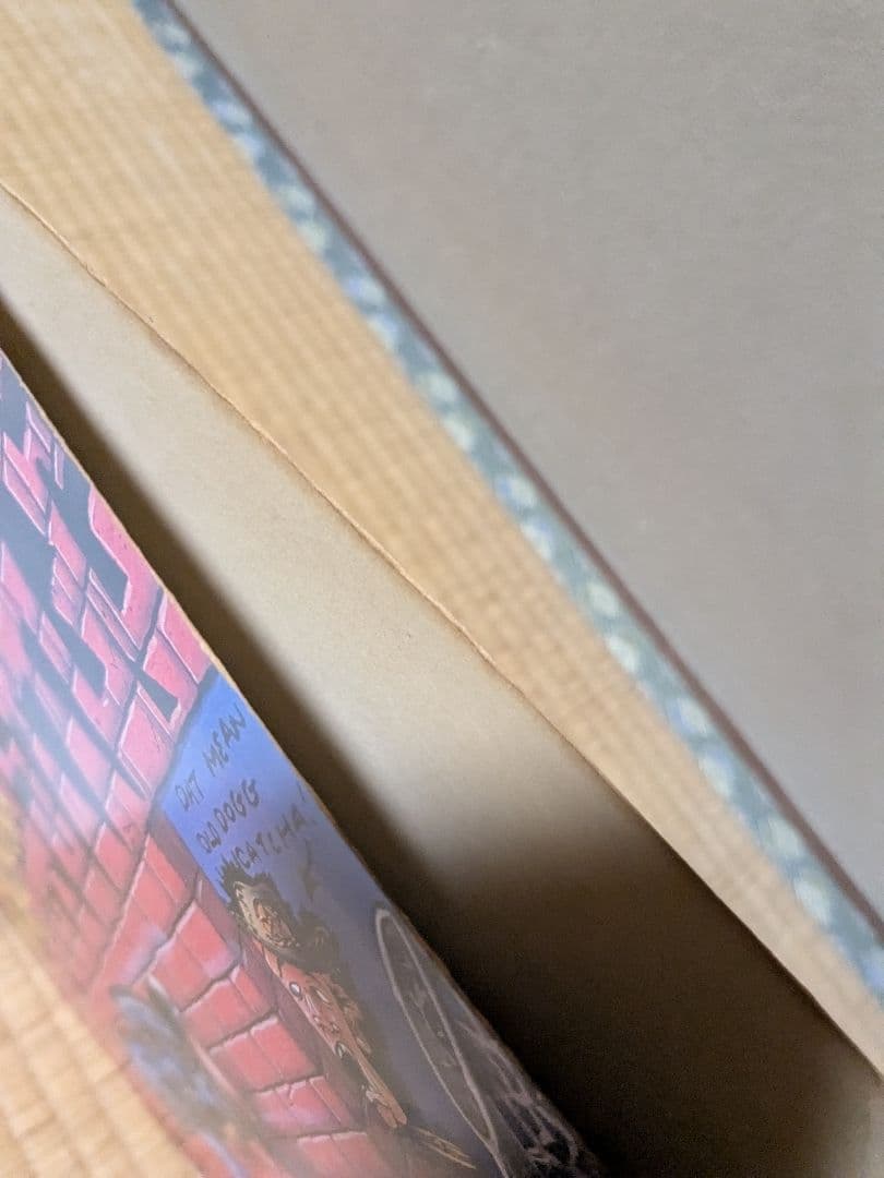 Snoop Dogg Doggystyle レコード