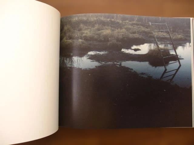 Far Too Close　Martina Hoogland Ivanow