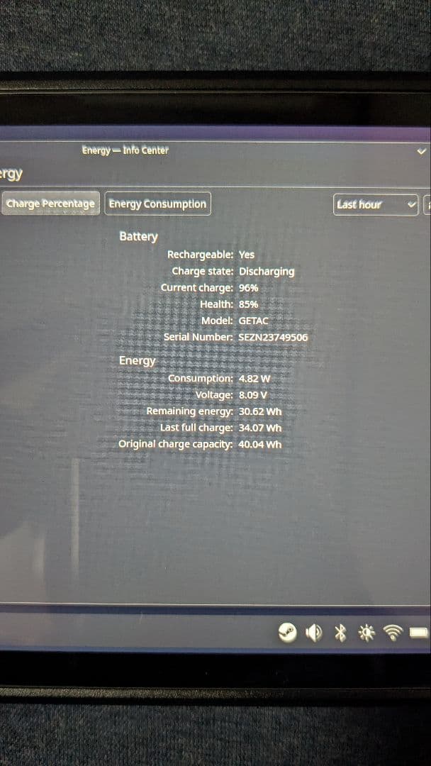 その他 Steam deck 256gb LCD