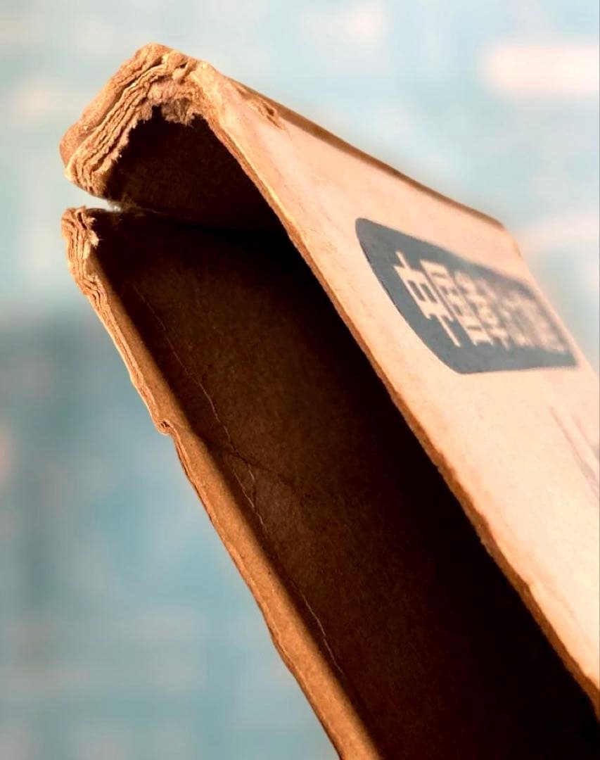 中国拳法大講座　本