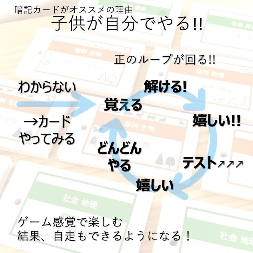 中学受験 暗記カード【6年上 社会・理科 6-8回】予習シリーズ 組分け