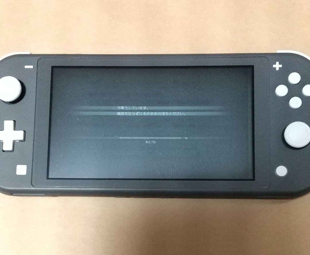 ジャンク 縦線 横線 有り Nintendo Switch Lite 本体