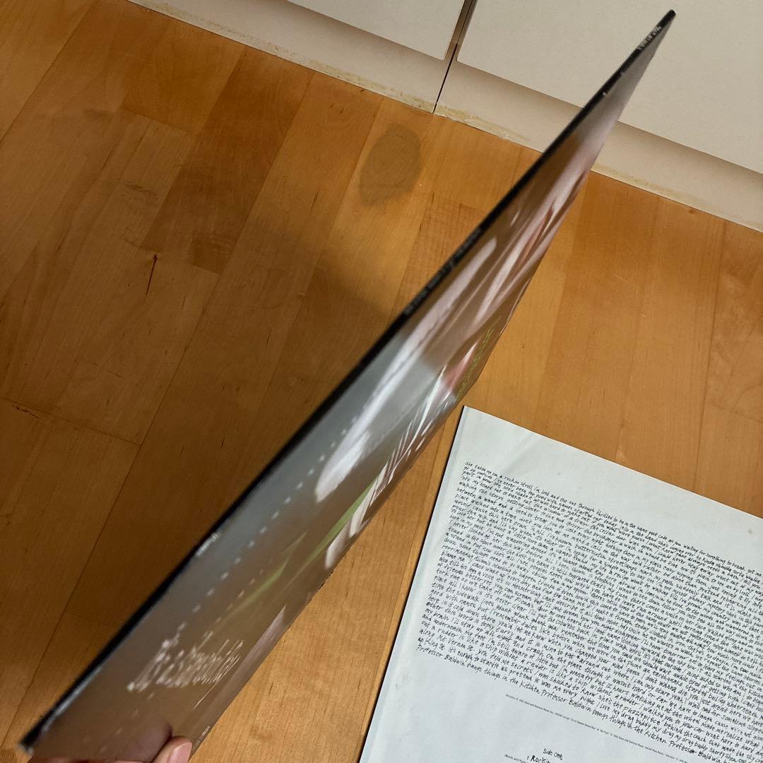 Lemonheads It's a shame about Ray レコード