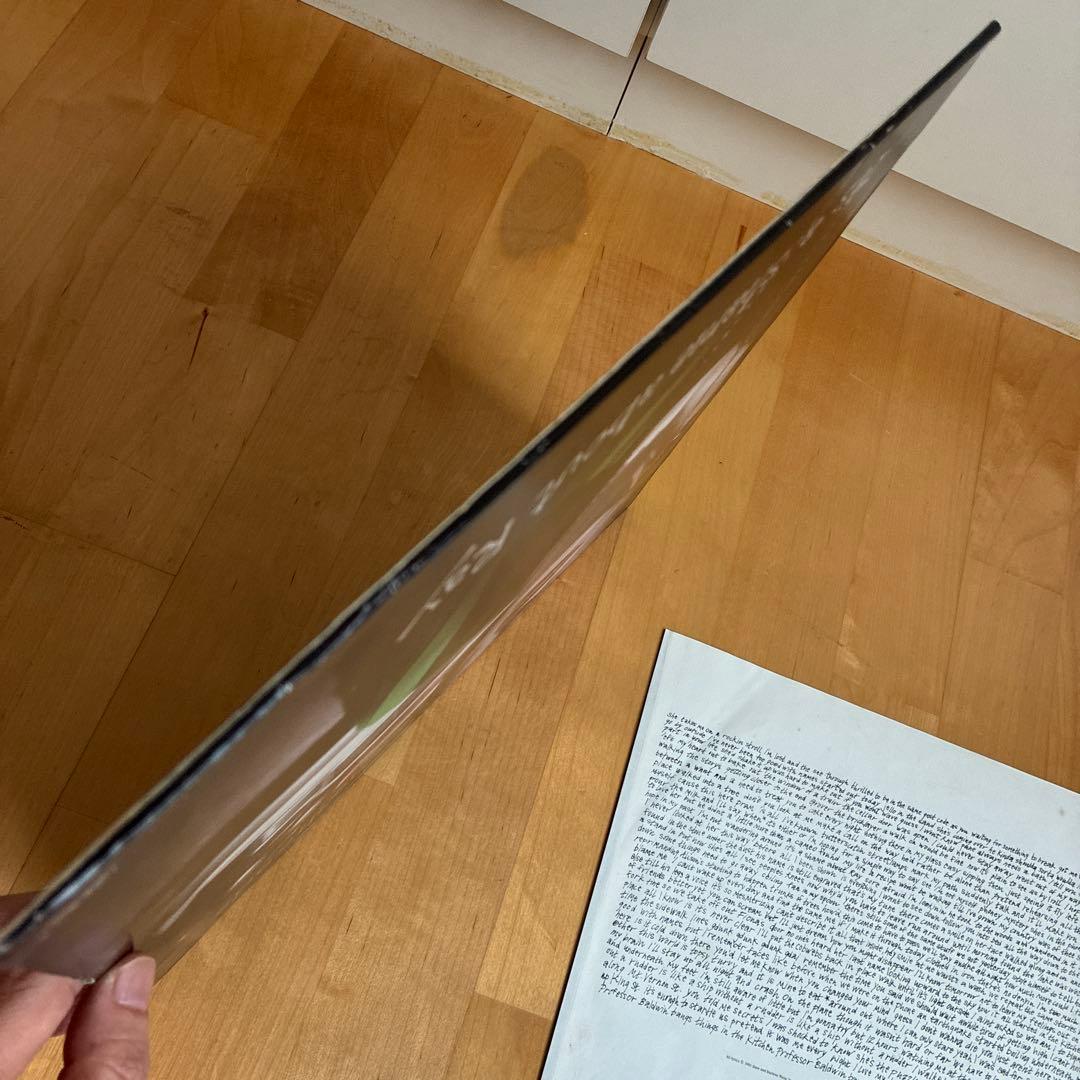 Lemonheads It's a shame about Ray レコード