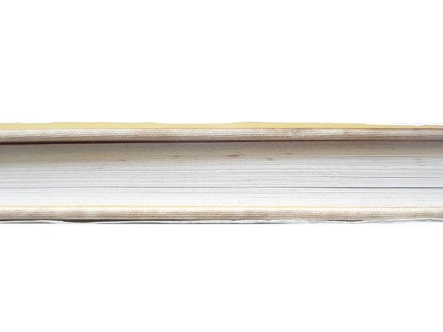 洋書◆アウグスト・ジャコメッティ画集 作品写真集 本 絵画 ステンドグラス