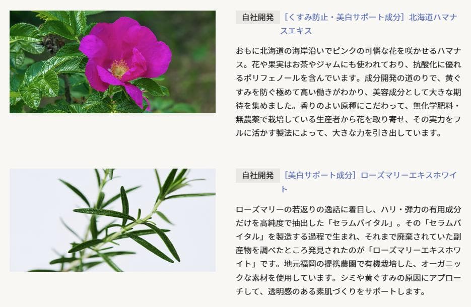 プ*＊様 三省製薬 デルメッド ブライトニング スポットクリーム