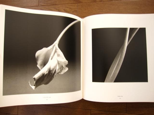 MAPPLETHORPE　ロバート・メイプルソープ