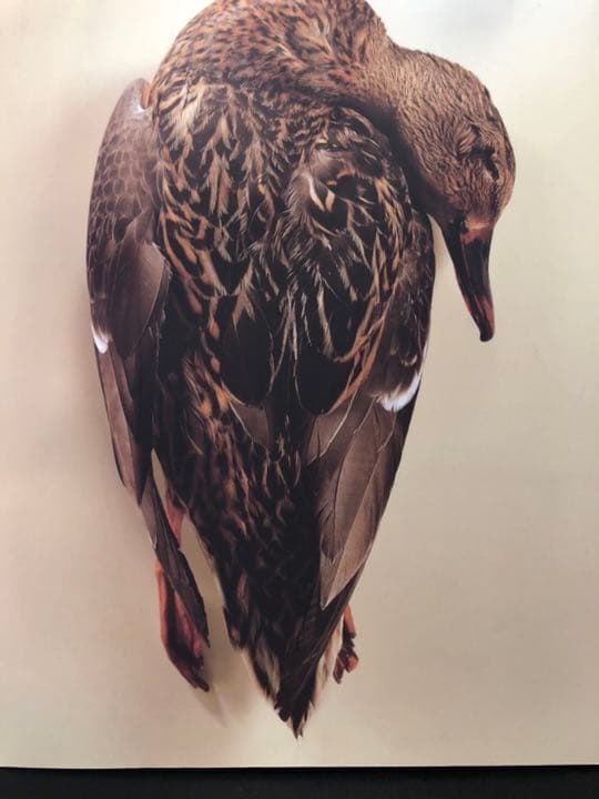 La Cuisine Francaise au Japan フランス料理