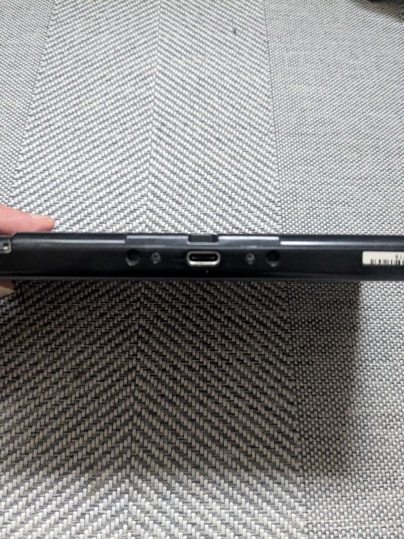 Nintendo Switch 本体とドッグ