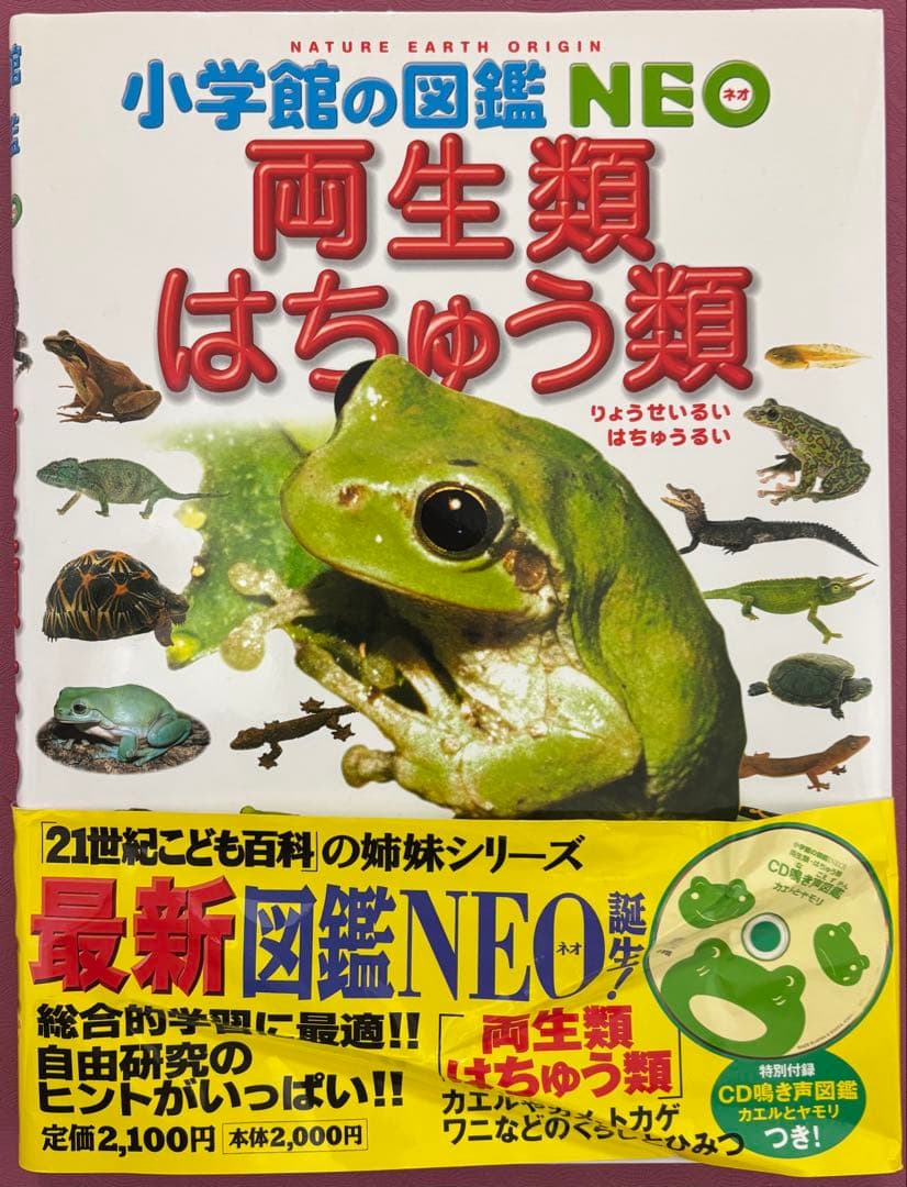 小学館の図鑑　NEO 9冊 小学館のこども図鑑　プレNEO 2冊