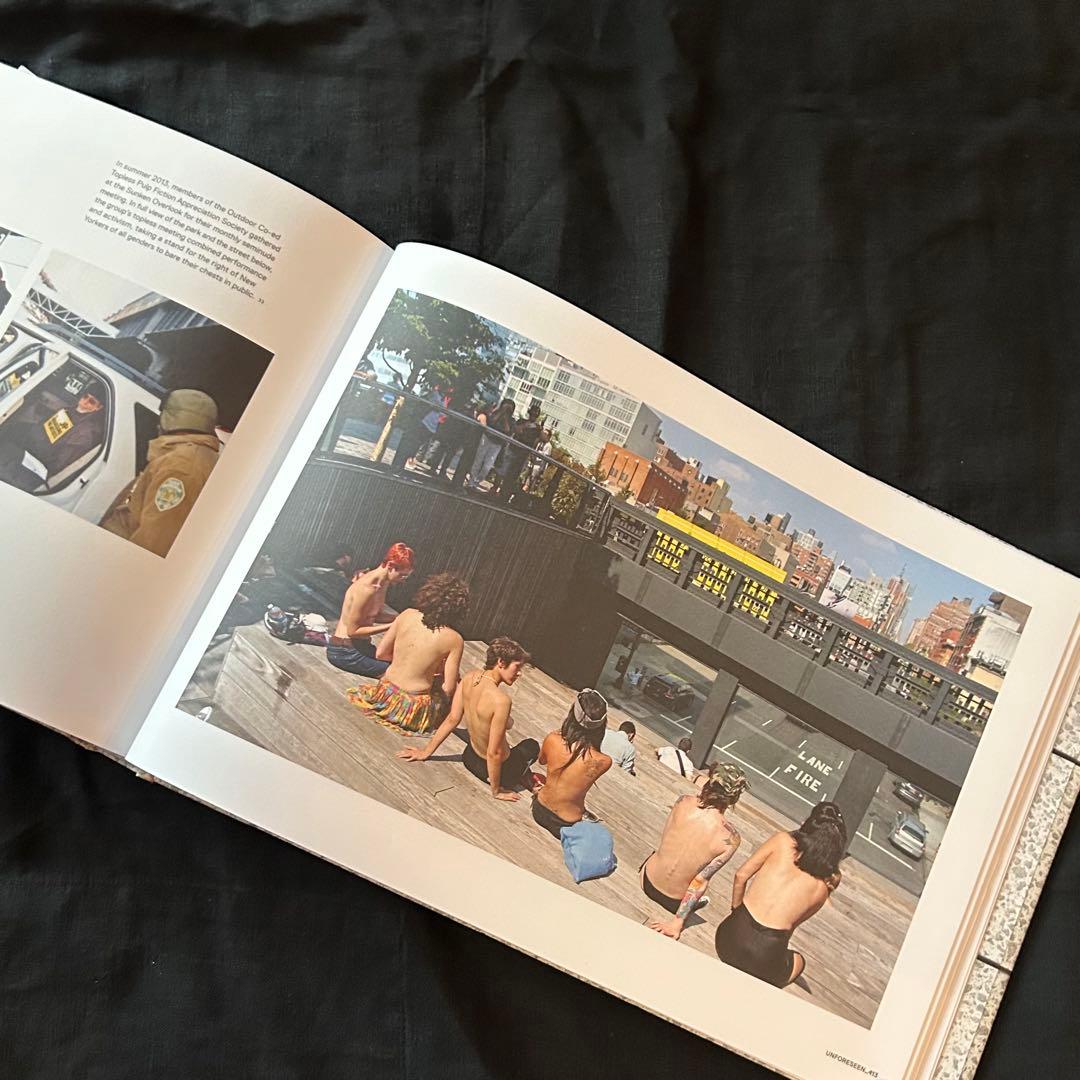 ！別サイトにご注意！！ THE HIGH LINE ／PHAIDON【洋書】