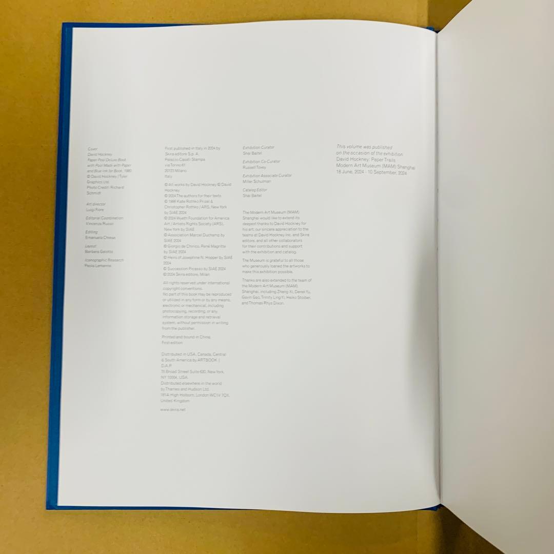 デイヴィッド・ホックニー　David Hockney: Paper Trails