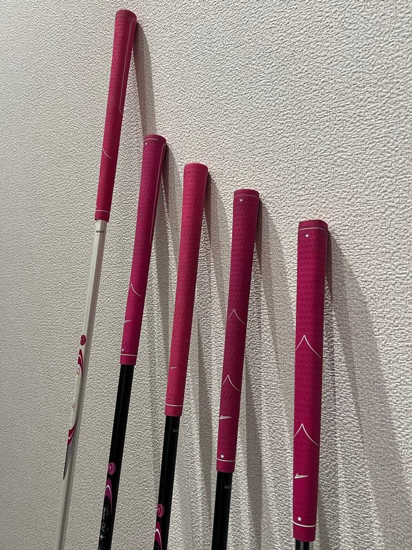 ワールドイーグル ゴルフセット（レディース_初心者_練習デビュー5本）