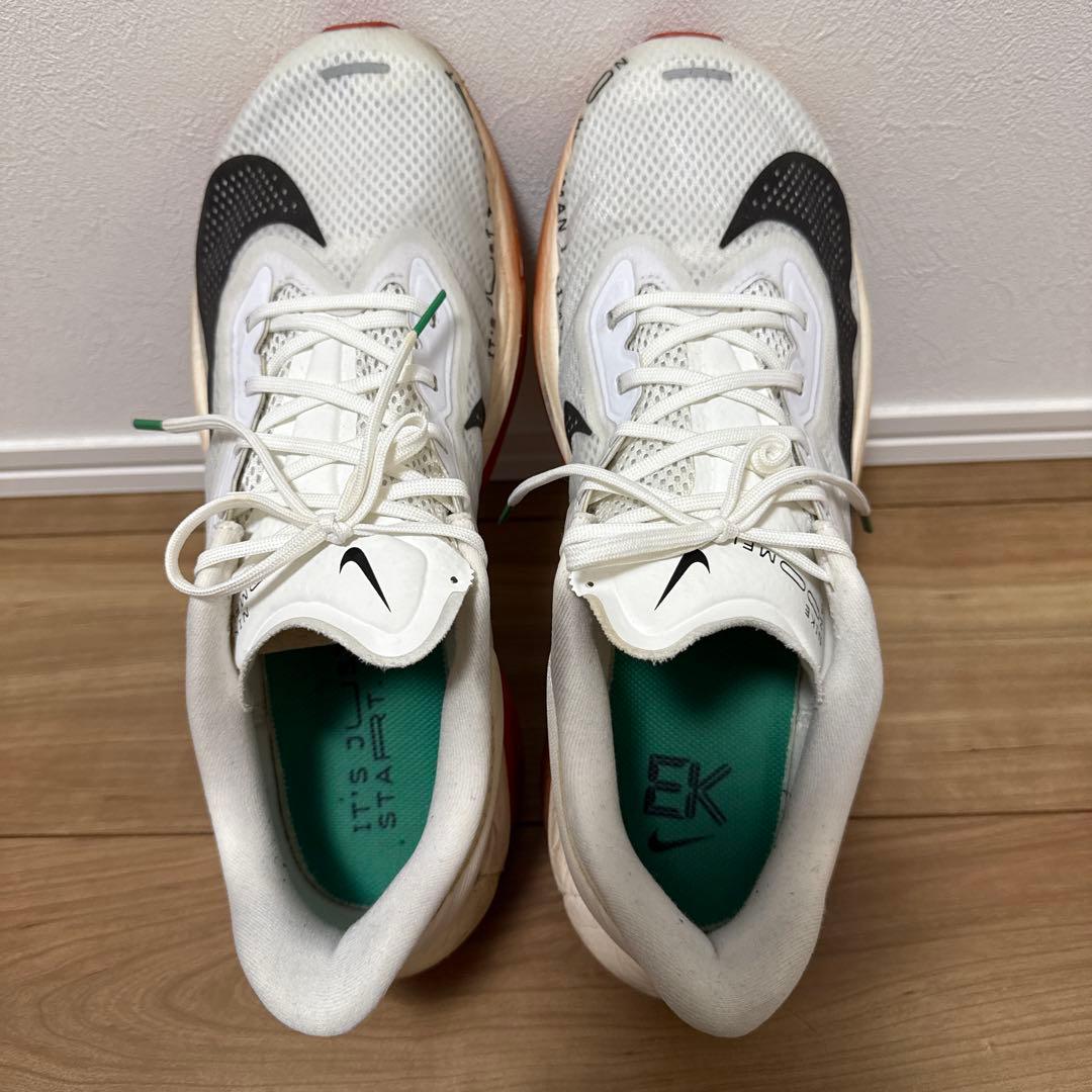 ナイキ ズームフライ6 29cm