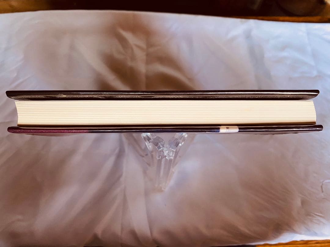 Saul Leiter ソールライターEarly Color 写真集2015年版