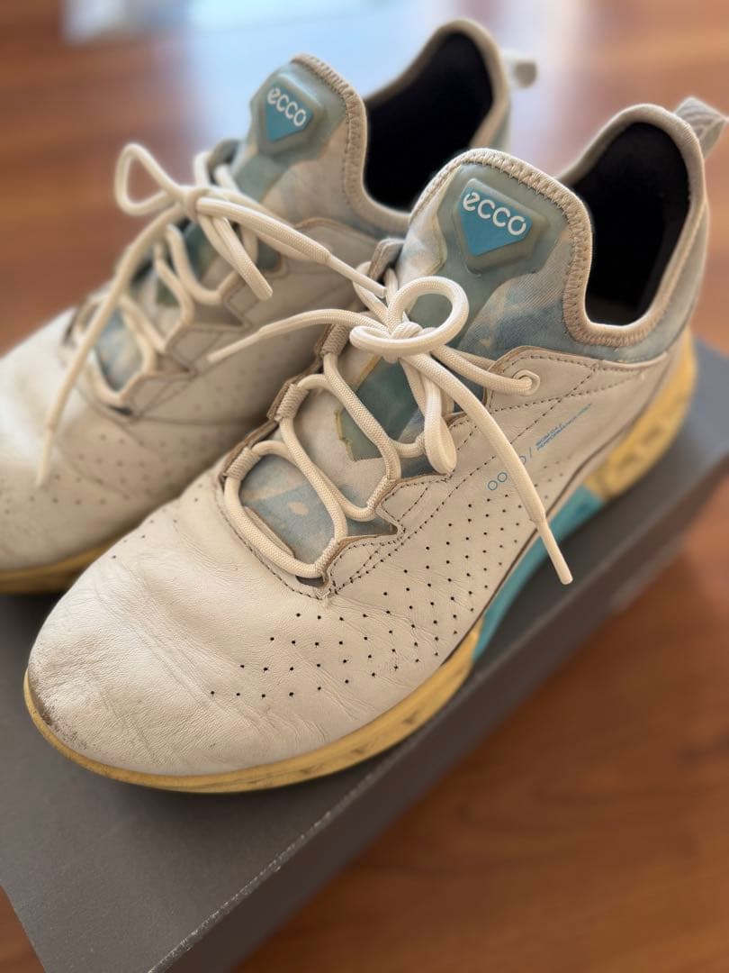 ECCO Golf Biom C4 メンズ レザーGore-Texゴルフシューズ