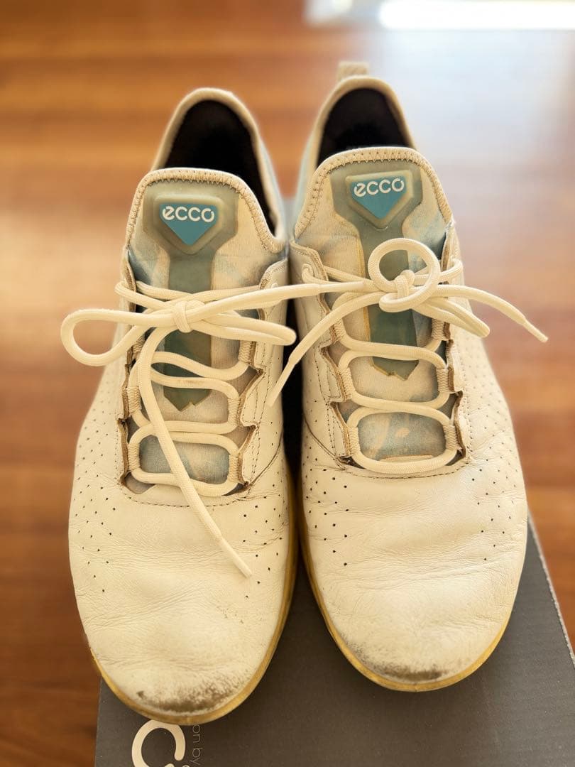 ECCO Golf Biom C4 メンズ レザーGore-Texゴルフシューズ