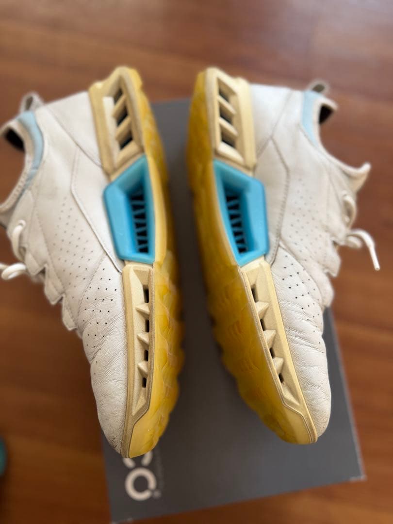 ECCO Golf Biom C4 メンズ レザーGore-Texゴルフシューズ