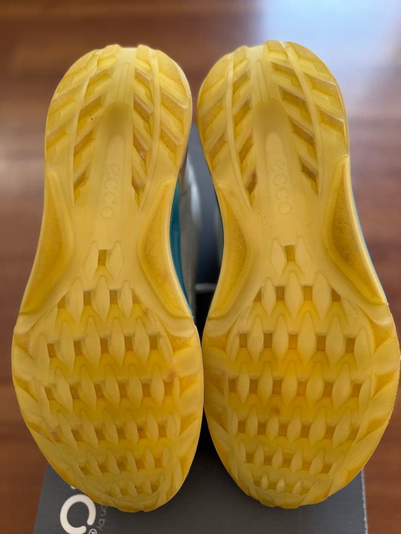 ECCO Golf Biom C4 メンズ レザーGore-Texゴルフシューズ