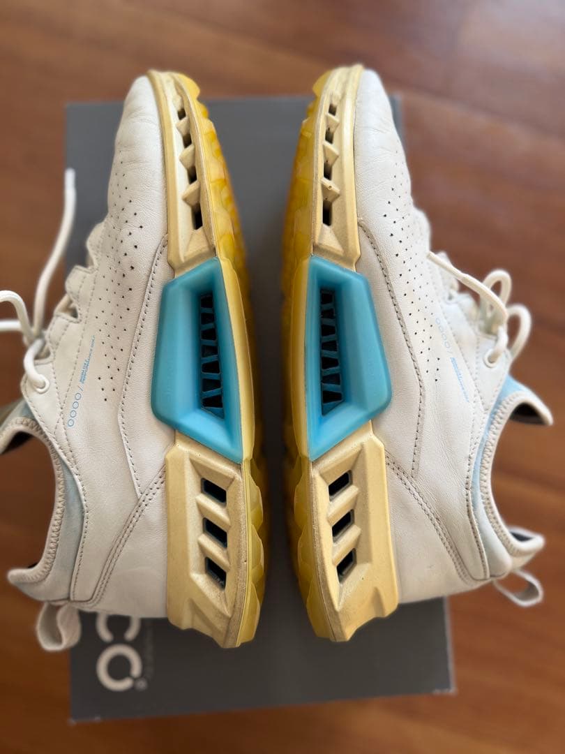 ECCO Golf Biom C4 メンズ レザーGore-Texゴルフシューズ