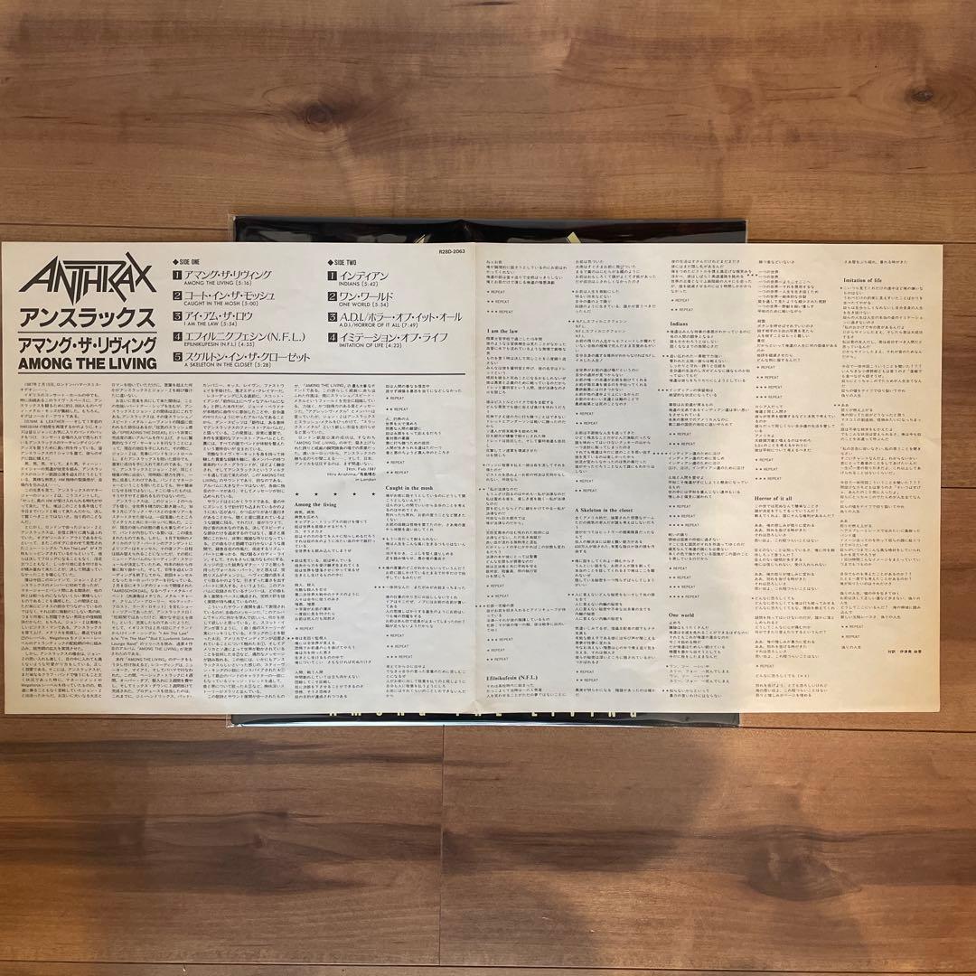 Anthrax Among The Living LP アンスラックス レコード