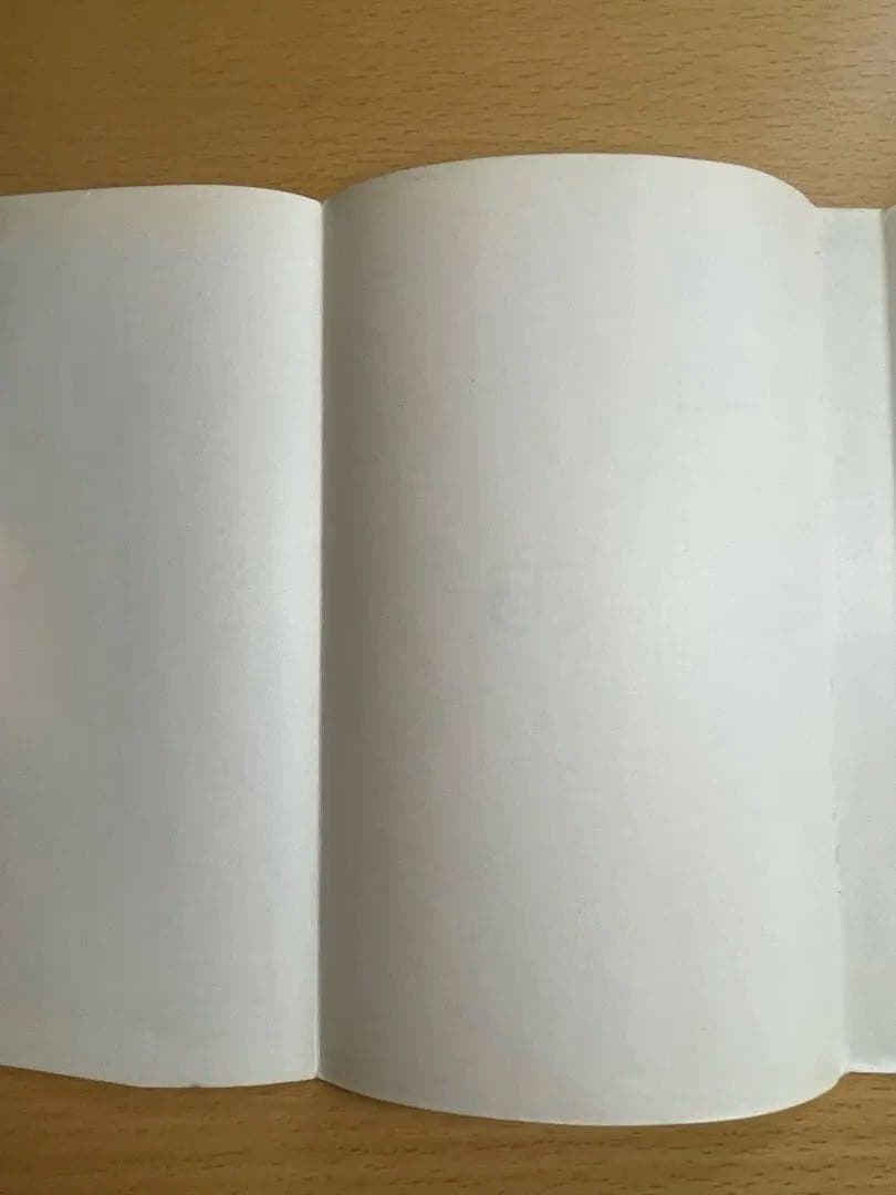 希少 ワンピース 第1巻 1997年12月29日 初版本 ●中古品