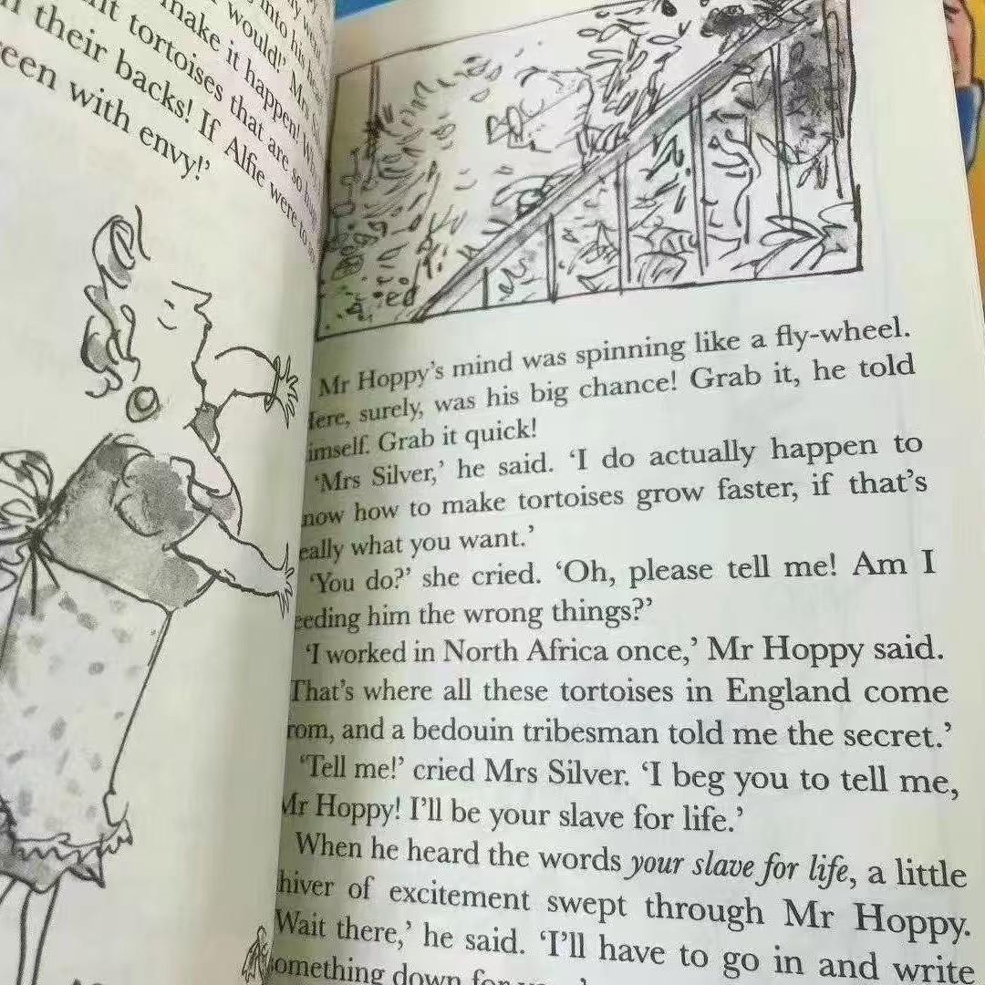 新品未使用 Roald DAHL collection 20冊 洋書 英語絵本