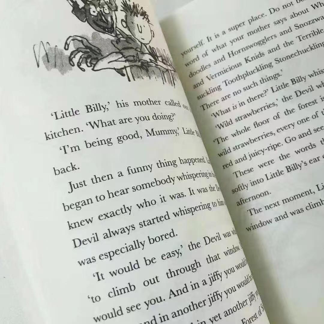 新品未使用 Roald DAHL collection 20冊 洋書 英語絵本