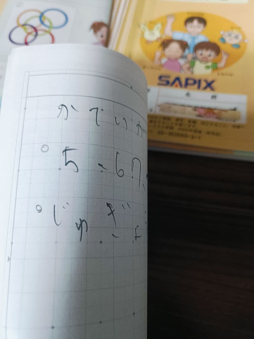 (2025) サピックス 3年 算数 デイリーサピックス