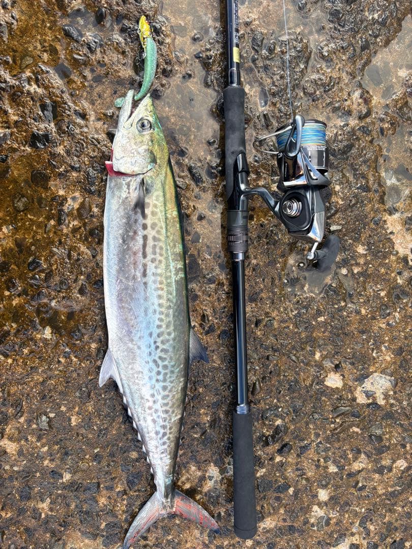 ダイワ　オーバーゼア103ML