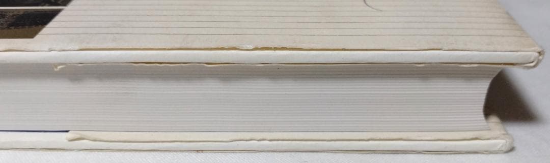 日本近代建築塗装史 時事通信社