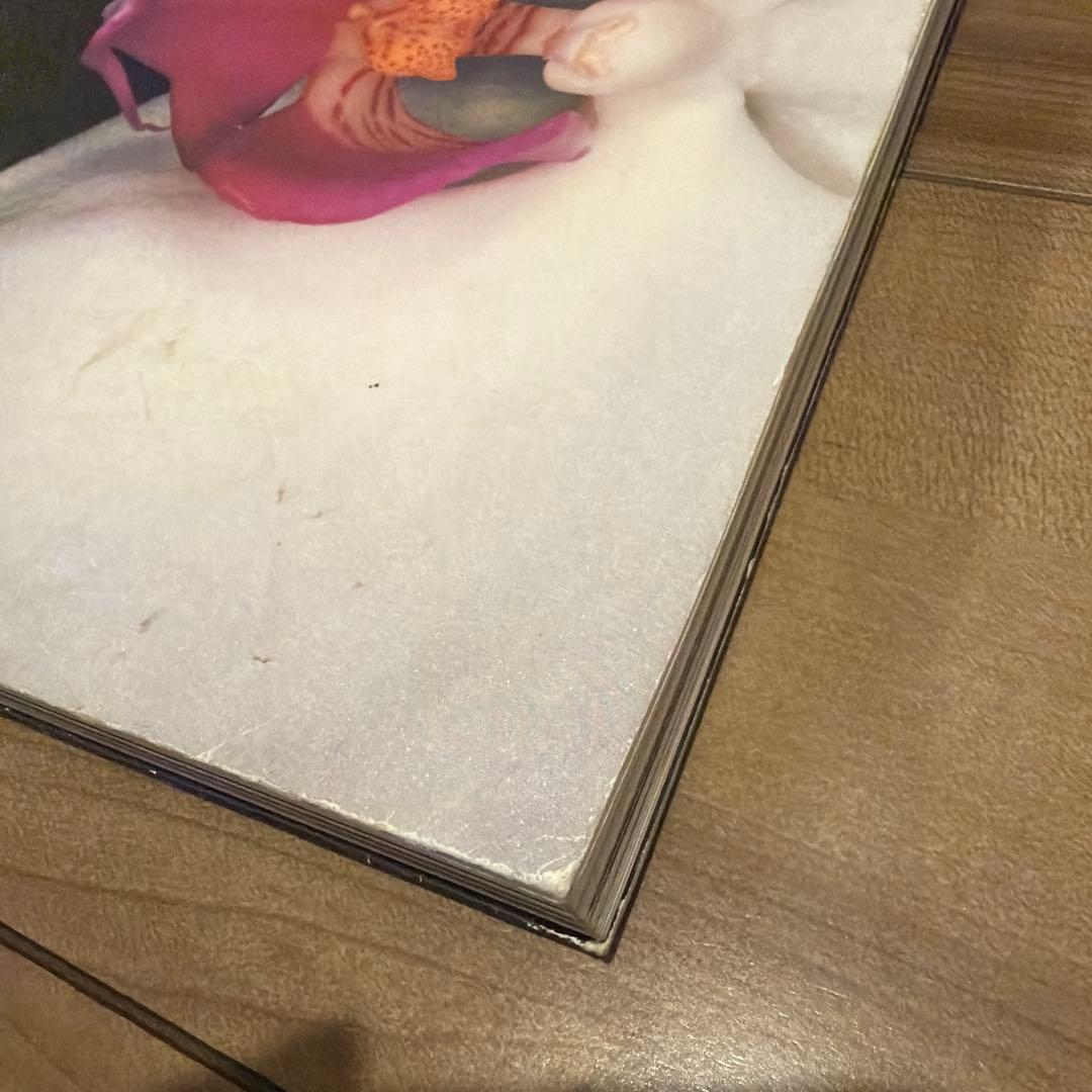 【レア】荒木経惟　花人生　Araki Nobuyoshi