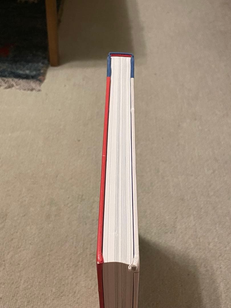 アートブック ブルースナウマン Bruce Nauman LIVE OR DIE