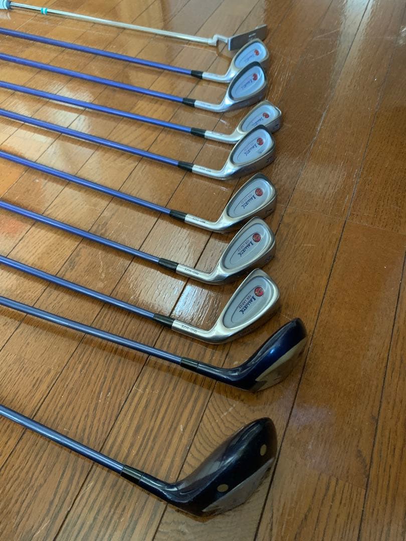 レディースゴルフクラブ10本セット Daiwa バックENRICO COVERI