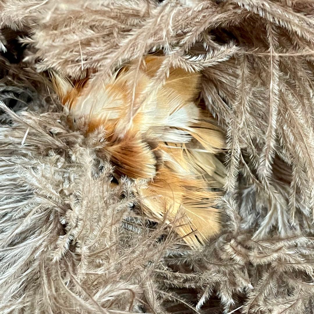 羽はたき ハタキ 毛ばたき 大きいサイズ