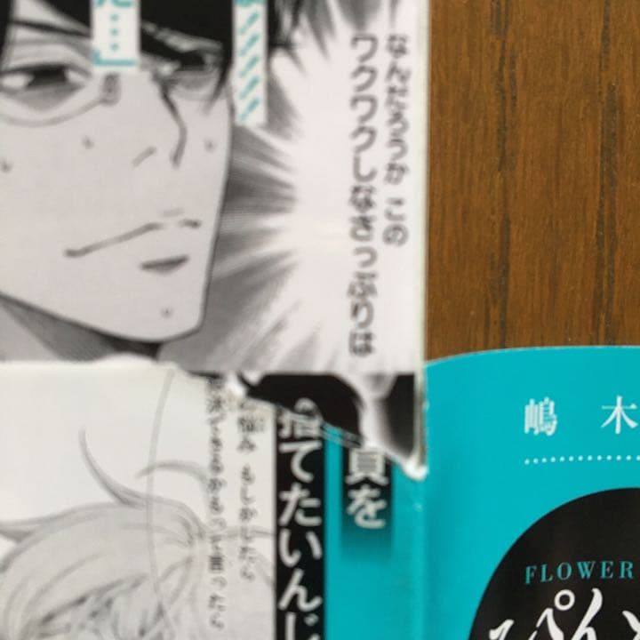 【即購入禁止】ぼくの輪廻／嶋木あこ