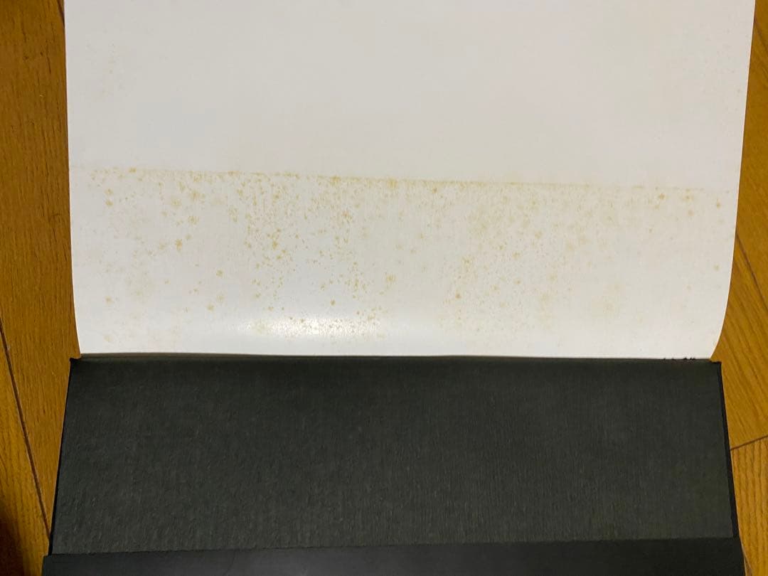 日本刺青芸術 彫芳 第2巻