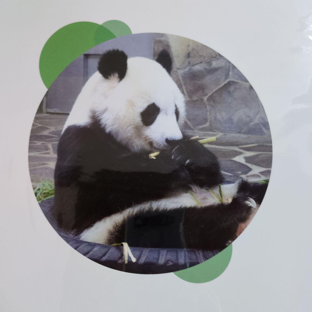 2023 2024 2025 パンダ　タンタン壁掛けカレンダー 未使用