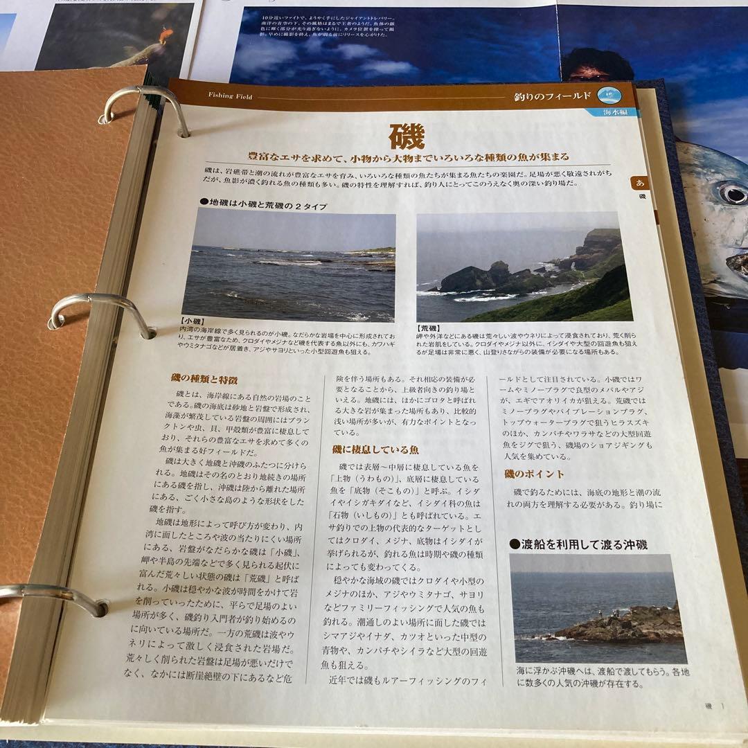 【必見】日本の魚釣り百科事典 ☆魚種別釣魚参考書☆