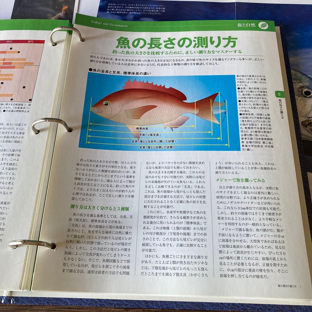 【必見】日本の魚釣り百科事典 ☆魚種別釣魚参考書☆